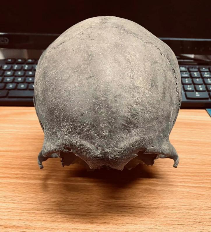 石器时代化石